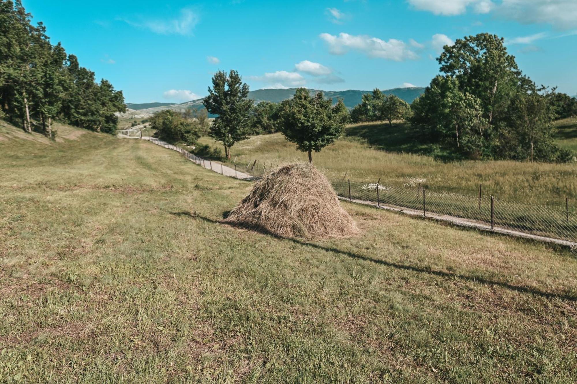 Вилла Domacinstvo Braca Rebic Gacko Экстерьер фото